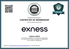 The Comprehensive Guide to the Exness Server List