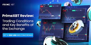 Crypto Trading on PrimeXBT UK A Comprehensive Guide -668378217