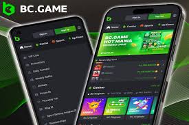 Comprehensive Guide to BCStavka Casino Your Ultimate Gaming Destination
